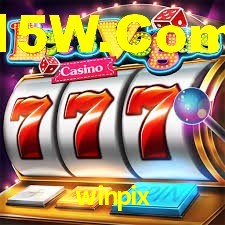 Programa VIP winpix